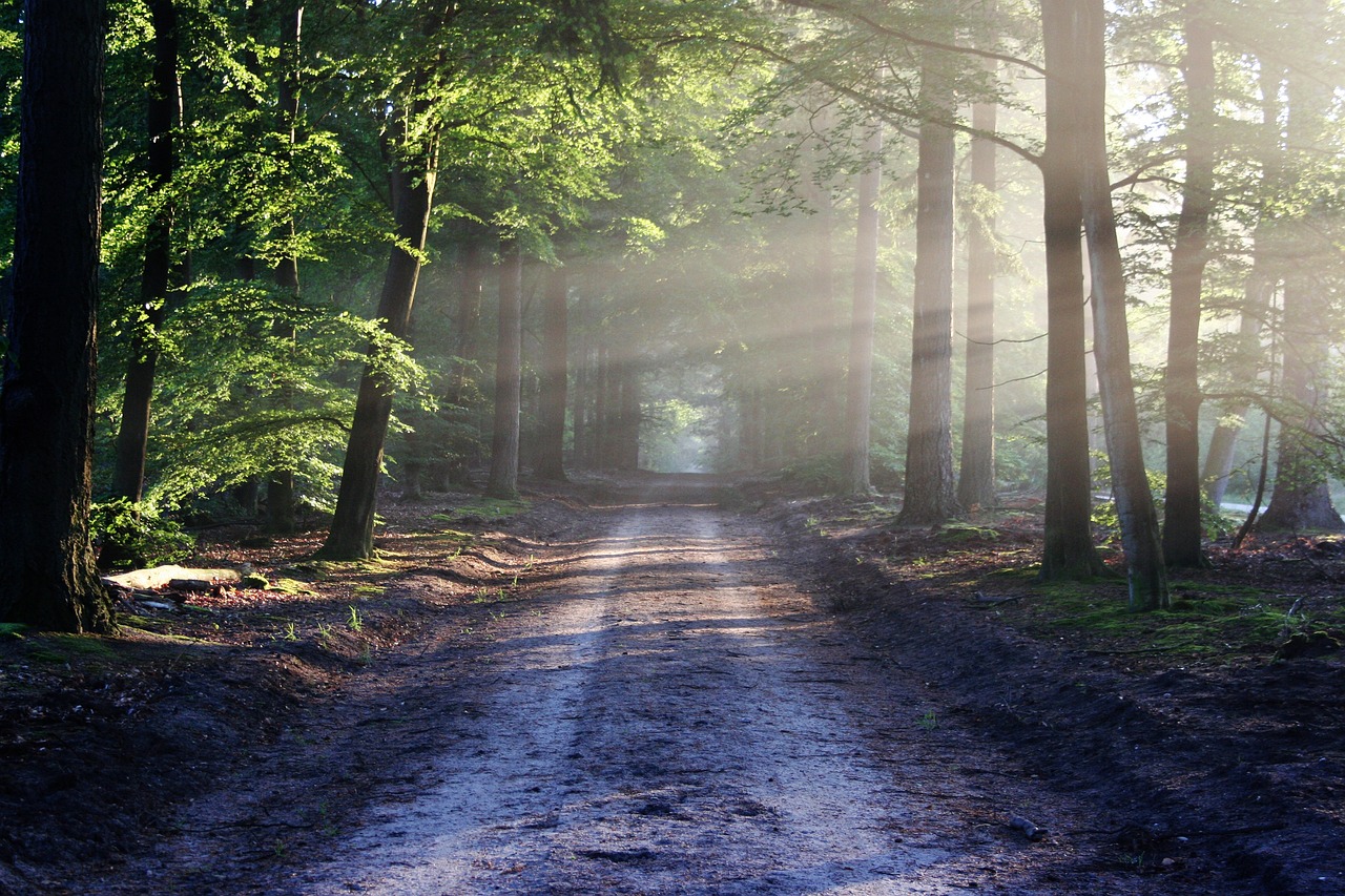 avenue-g69b07256b_1280
