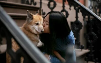 Adopciones de mascotas aumentan un 60%: ayuntamientos revolucionan sus albergues con inteligencia artificial que optimiza acogidas y rescates