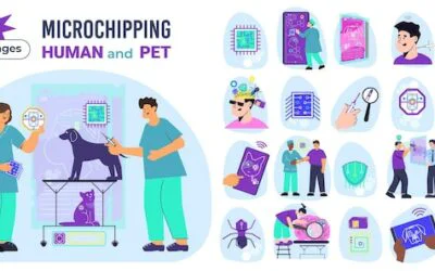 Visitas a albergues municipales aumentan un 80%: ayuntamientos implementan agenda inteligente que optimiza vacunaciones y encuentros con posibles adoptantes