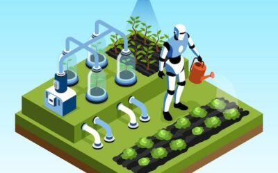 Emprendedores rurales crean empresas exitosas: ayuntamientos lanzan asistentes virtuales con inteligencia artificial que guían paso a paso desde idea hasta negocio próspero