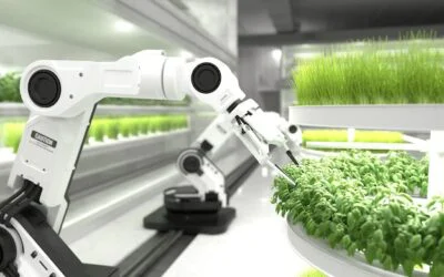 Maquinaria agrícola nunca parada: ayuntamientos optimizan uso compartido con inteligencia artificial que coordina solicitudes y maximiza aprovechamiento