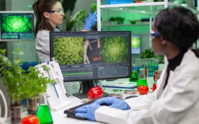 Plagas agrícolas detectadas 15 días antes de manifestarse: agricultores previenen pérdidas con inteligencia artificial que predice amenazas y recomienda tratamientos precisos