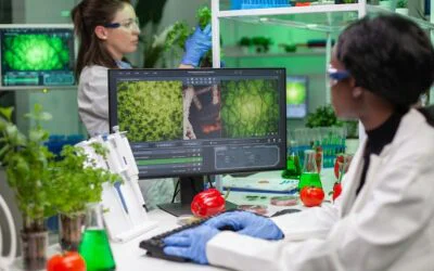 Plagas agrícolas detectadas 15 días antes de manifestarse: agricultores previenen pérdidas con inteligencia artificial que predice amenazas y recomienda tratamientos precisos