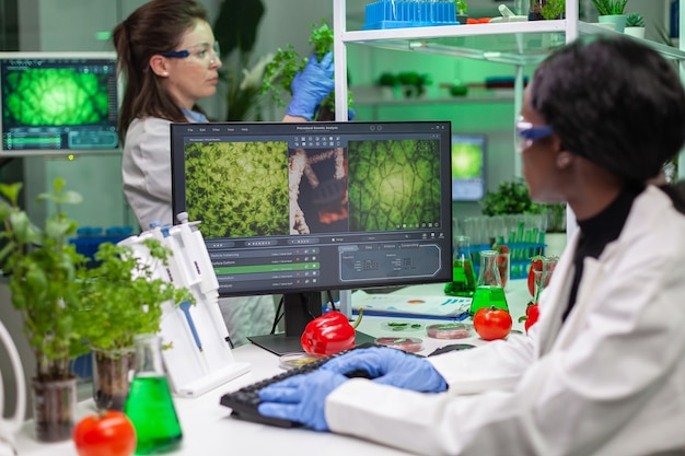 Plagas agrícolas detectadas 15 días antes de manifestarse: agricultores previenen pérdidas con inteligencia artificial que predice amenazas y recomienda tratamientos precisos
